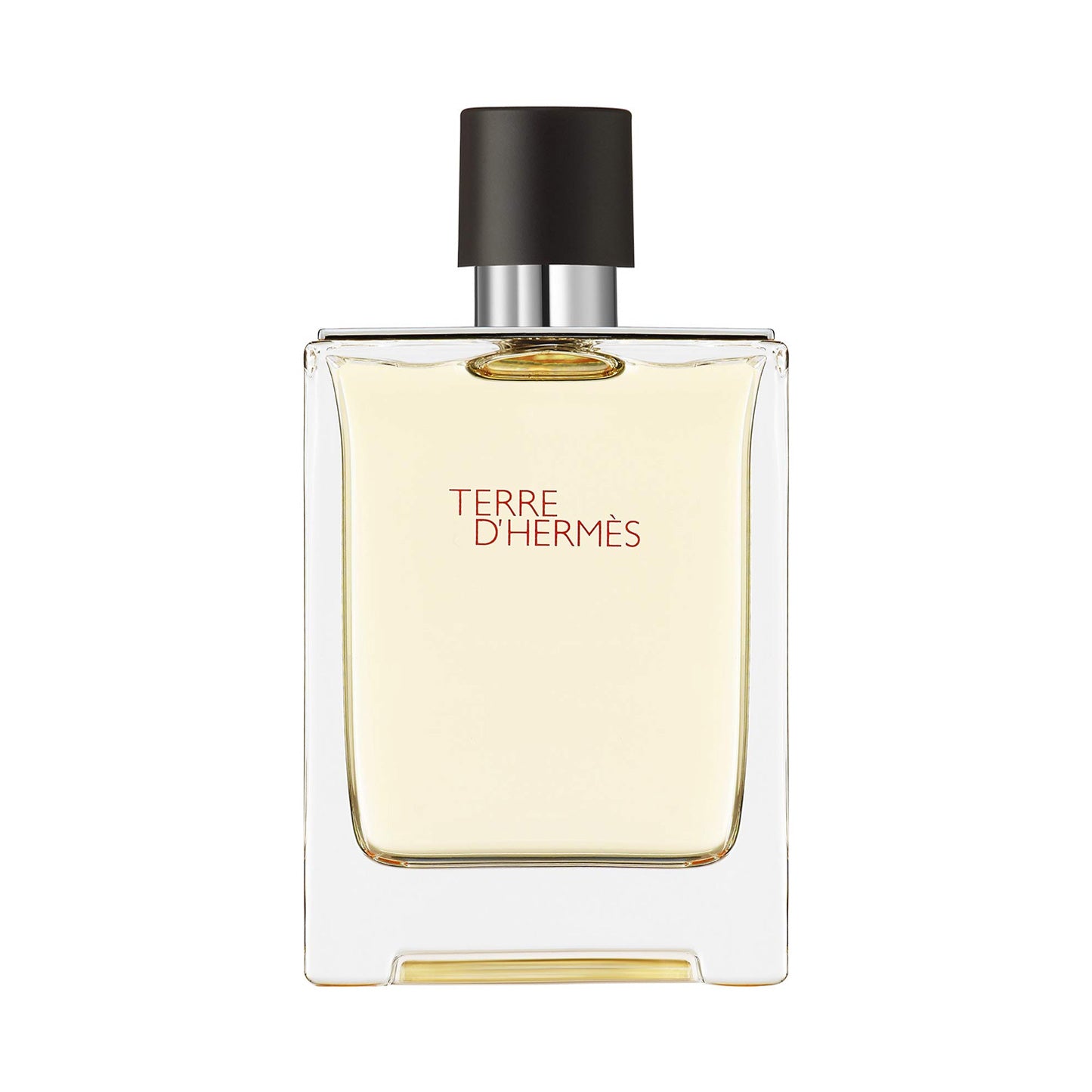 Hermes Terre D'Hermes Eau De Toilette For Men- 100ml