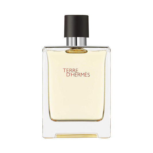 Hermes Terre D'Hermes Eau De Toilette For Men- 100ml